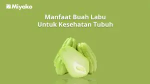 Gambar Manfaat Buah Labu untuk Kesehatan Tubuh!| | Miyako Indonesia