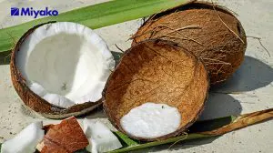 Rajin Meminum Air Kelapa? Ini 6 Manfaat Baiknnya untuk Tubuh